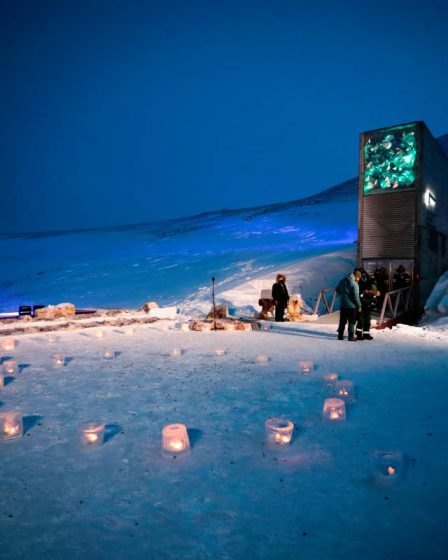 Svalbard Global Seed Vault : Comment la Norvège s'assure-t-elle que la base de la sécurité alimentaire mondiale reste sûre ? 19 Svalbard Global Seed Vault : Comment la Norvège s'assure-t-elle que la base de la sécurité alimentaire mondiale reste sûre ? - 18