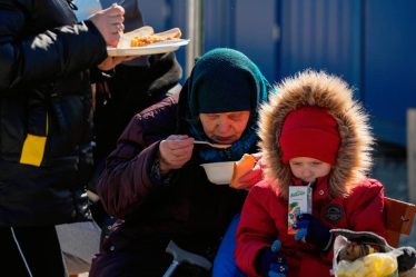 Direction de la santé : les municipalités norvégiennes ont enregistré 3 258 réfugiés ukrainiens en Norvège - 16