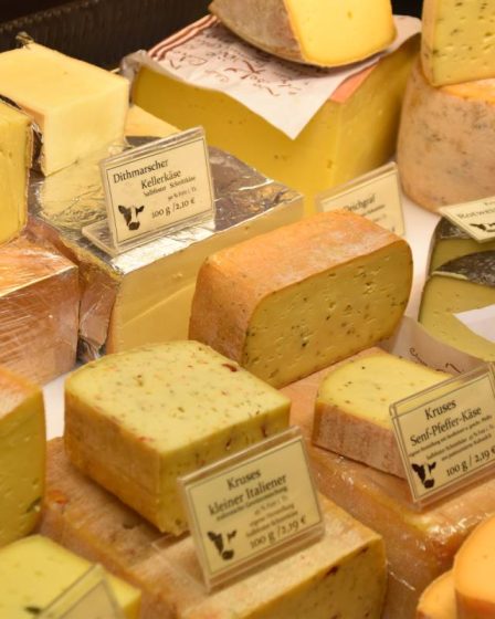 Les importations de fromage en Norvège ont presque doublé entre 2011 et 2021 - 1