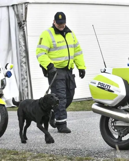 Meurtre à Copenhague : deux Suédois extradés vers le Danemark 2 Meurtre à Copenhague : deux Suédois extradés vers le Danemark - 1