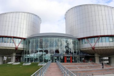 La Norvège acquittée par la Cour européenne des droits de l'homme après une plainte pour maternité de substitution - 16