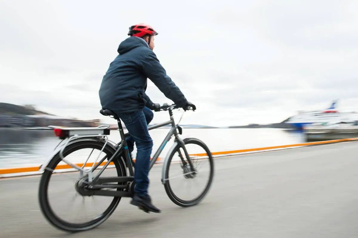 Un rapport montre que près des deux tiers ne sont pas d'accord avec l'interdiction des vélos électriques dans les parcs nationaux de Norvège - 3