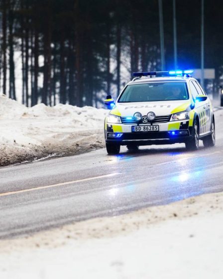 Une personne décède après un violent incident à Grue dans l'Innlandet - une personne arrêtée - 10
