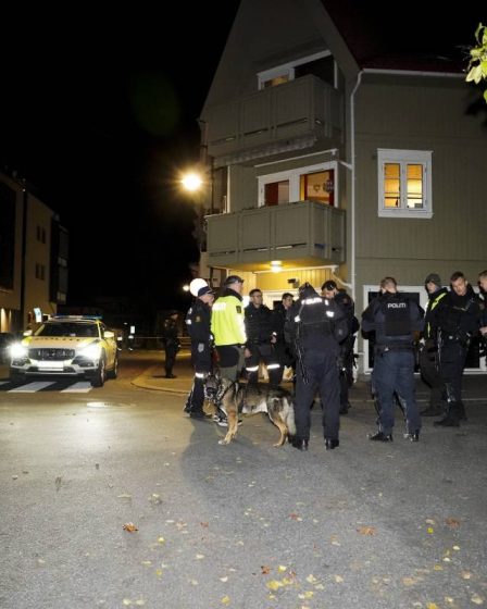 Police: plusieurs armes ont été utilisées dans l'attaque meurtrière de Kongsberg, pas seulement l'arc et la flèche - 7