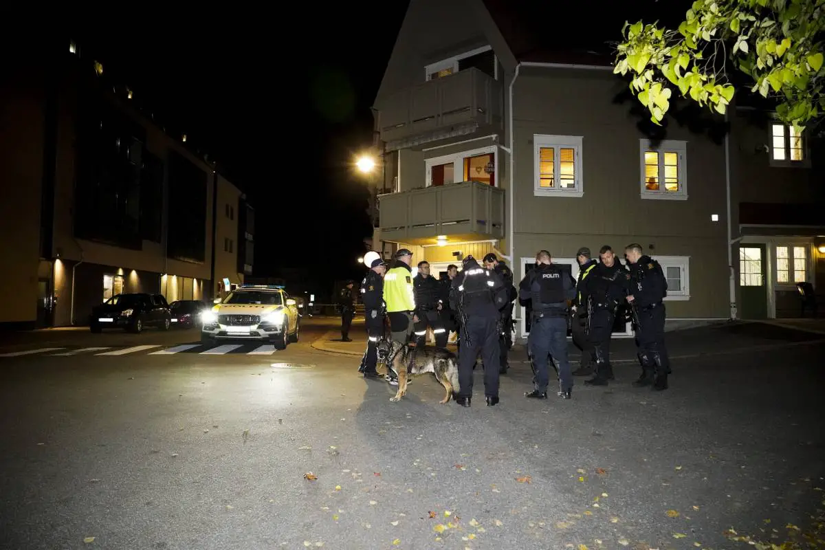 Police: plusieurs armes ont été utilisées dans l'attaque meurtrière de Kongsberg, pas seulement l'arc et la flèche - 3