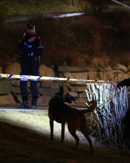 Oslo : un jeune de 17 ans placé en détention provisoire après un violent incident à Stovner 5 Oslo : un jeune de 17 ans placé en détention provisoire après un violent incident à Stovner - 4