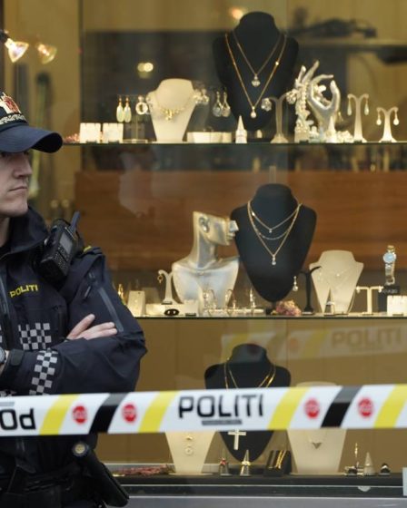 La police d'Oslo abandonne une affaire de vol de bijoux : "Manque d'informations" - 16