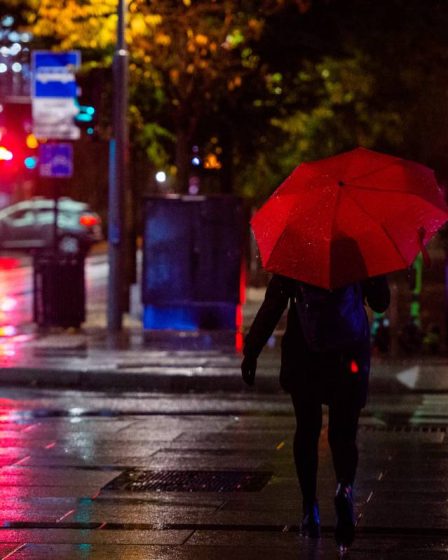 Le temps en février en Norvège était plus chaud et plus humide que d'habitude 28 Le temps en février en Norvège était plus chaud et plus humide que d'habitude - 27