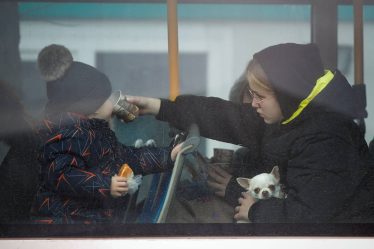 ONU : Plus de 1,2 million de personnes ont fui l'Ukraine - 22
