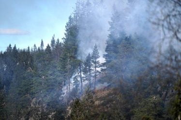 NVE met en garde contre les pénuries d'eau dans le sud de la Norvège : "Il pourrait être nécessaire d'introduire des mesures d'économie d'eau" - 18