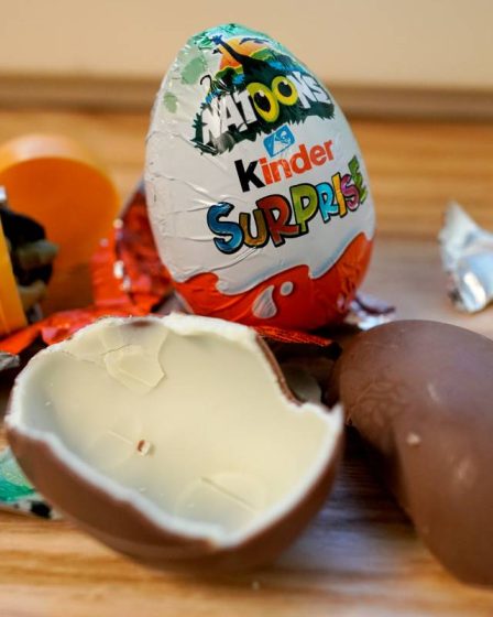 Oeufs en chocolat Kinder et autres produits Kinder retirés du marché norvégien 11 Oeufs en chocolat Kinder et autres produits Kinder retirés du marché norvégien - 10