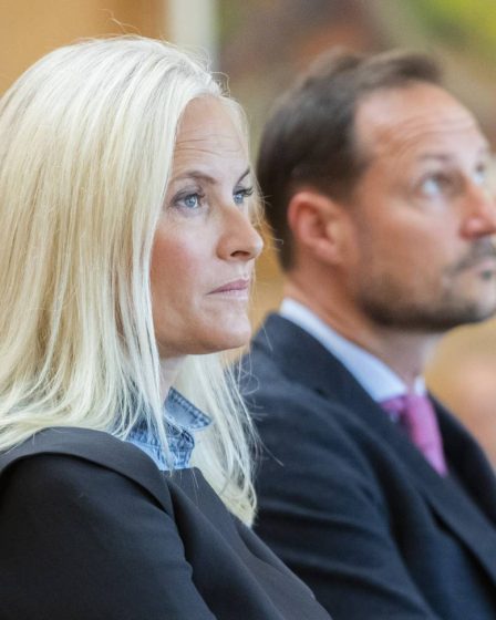 La princesse héritière Mette-Marit ne se rendra pas à Kirkenes vendredi pour cause de maladie - 16