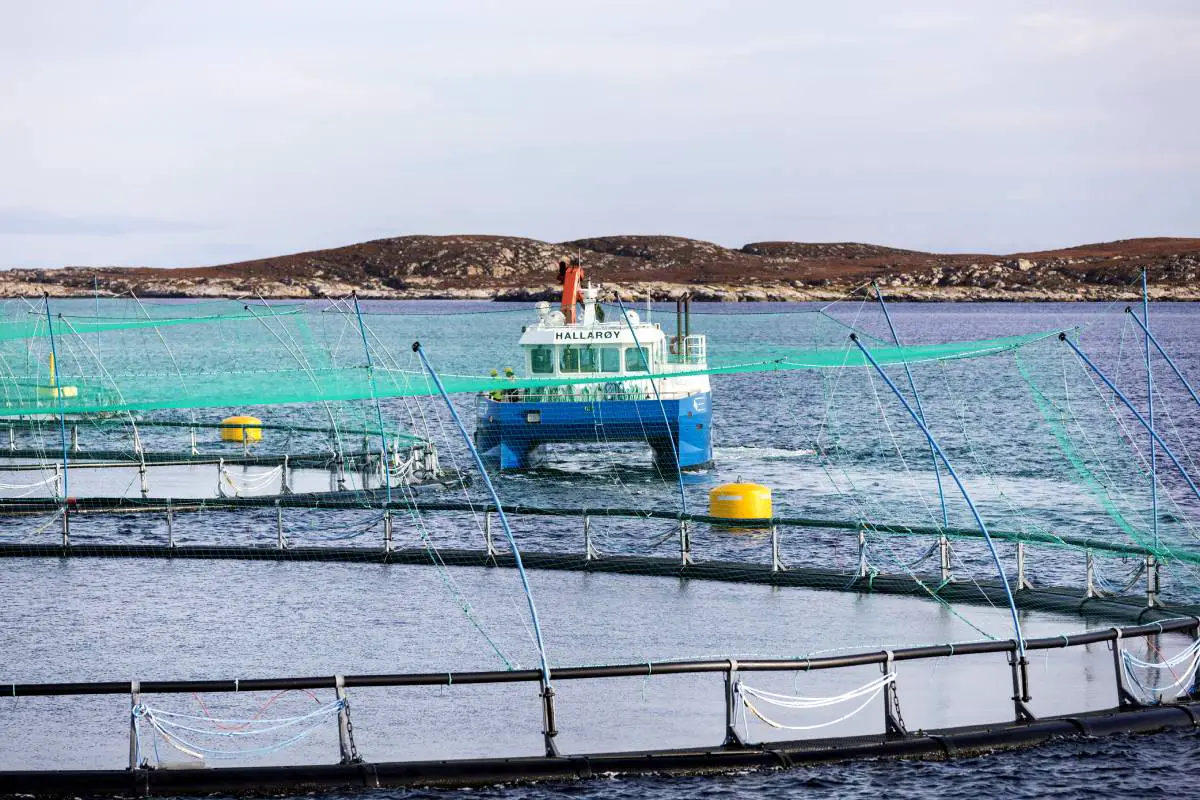 Les fermes piscicoles norvégiennes occupent des zones maritimes plus vastes qu'auparavant - 3
