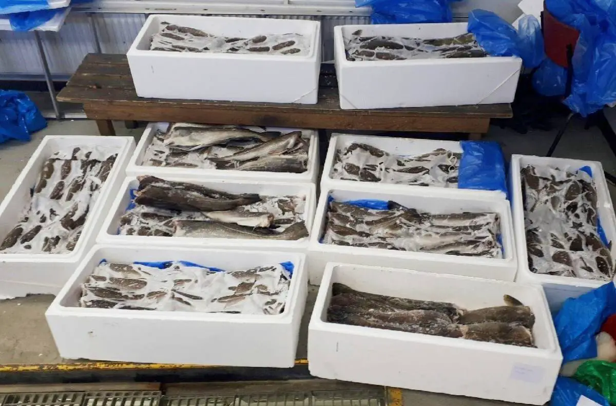 Record trimestriel : Forte croissance signalée dans les exportations norvégiennes de produits de la mer 4 Record trimestriel : Forte croissance signalée dans les exportations norvégiennes de produits de la mer - 3