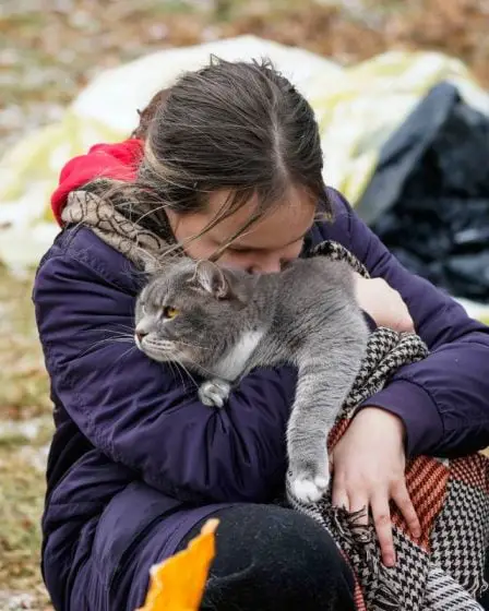 Jusqu'à présent, 588 animaux de compagnie ukrainiens ont "fui" en Norvège 11 Jusqu'à présent, 588 animaux de compagnie ukrainiens ont "fui" en Norvège - 10