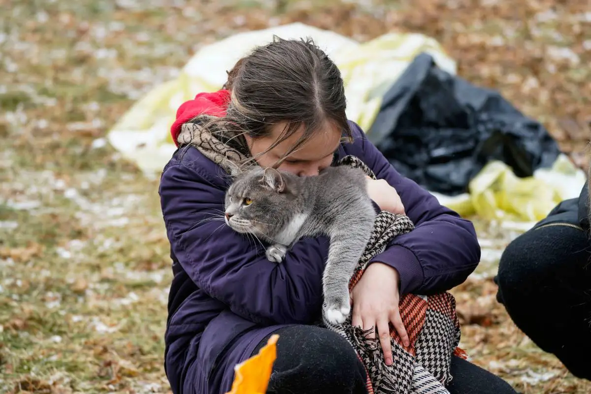 Jusqu'à présent, 588 animaux de compagnie ukrainiens ont "fui" en Norvège - 3