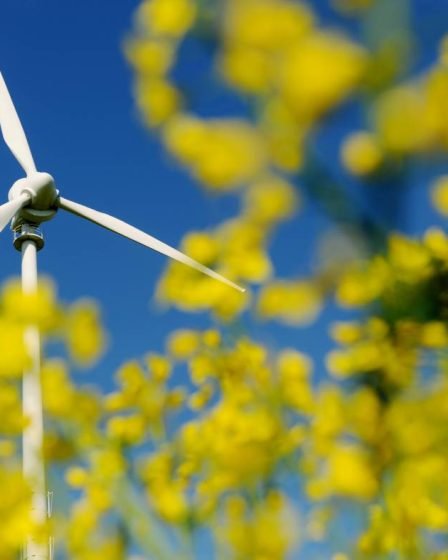 Le gouvernement danois veut éliminer progressivement le gaz et avoir quatre fois plus d'énergie éolienne et solaire d'ici 2030 - 1