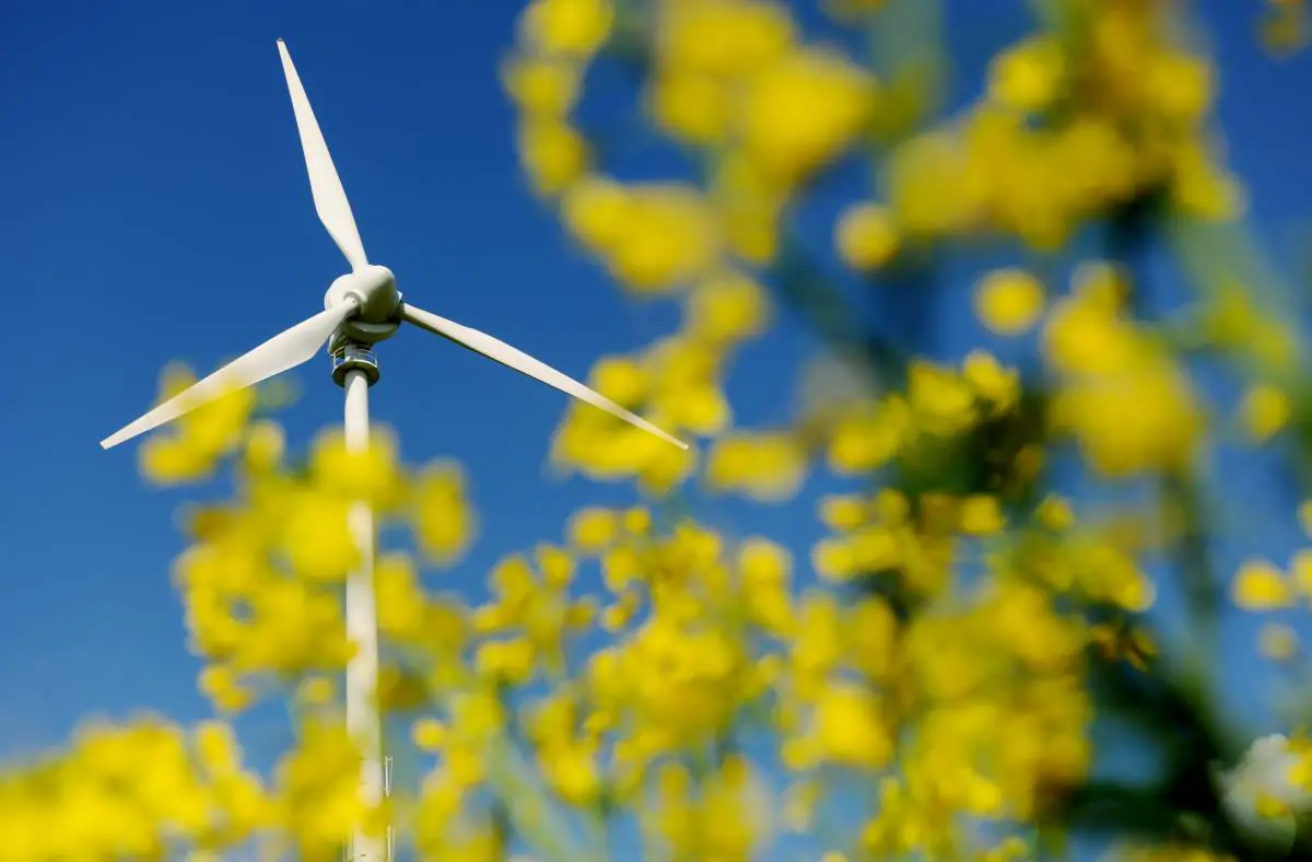 Le gouvernement danois veut éliminer progressivement le gaz et avoir quatre fois plus d'énergie éolienne et solaire d'ici 2030 - 3