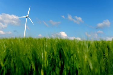 Un inconnu tire sur un parc éolien en Suède - 16