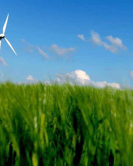 Un inconnu tire sur un parc éolien en Suède - 7