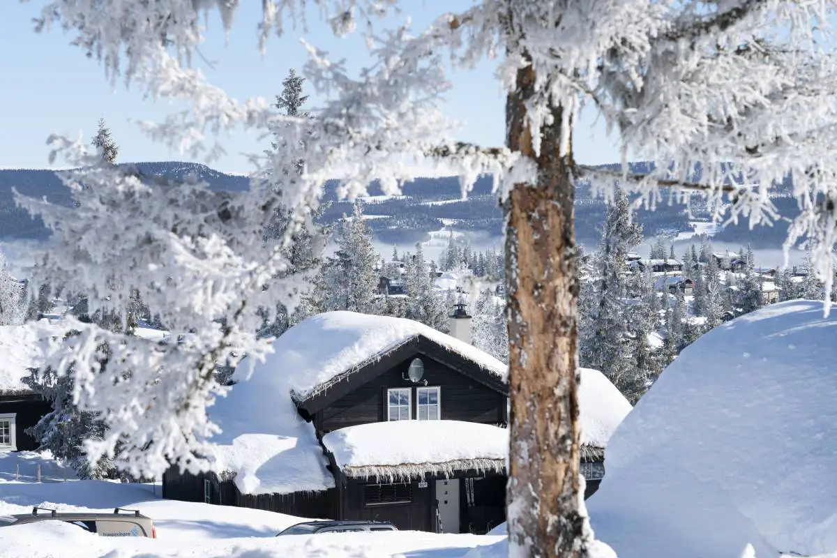 Cabane - chalet