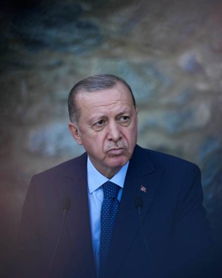 Erdogan s'oppose à l'adhésion de la Suède et de la Finlande à l'OTAN 18 Erdogan s'oppose à l'adhésion de la Suède et de la Finlande à l'OTAN - 17
