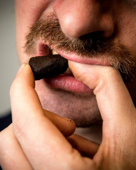 Plus de jeunes consomment du snus en Norvège qu'en Suède - 10