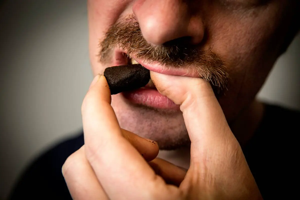 Plus de jeunes consomment du snus en Norvège qu'en Suède 4 Plus de jeunes consomment du snus en Norvège qu'en Suède - 3