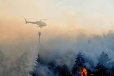 Au total, 649 incendies de forêt ont été signalés en Norvège jusqu'à présent cette année - 24