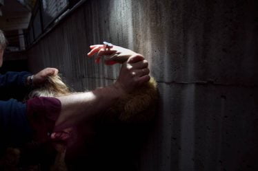 Statistics Norway : Le nombre de victimes enregistrées d'infractions sexuelles a augmenté en 2021 - 18
