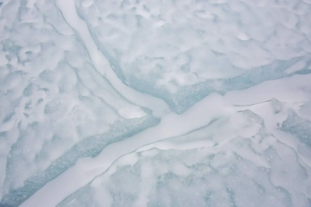 Des microplastiques découverts dans la neige fraîche de l'Antarctique 4 Des microplastiques découverts dans la neige fraîche de l'Antarctique - 3