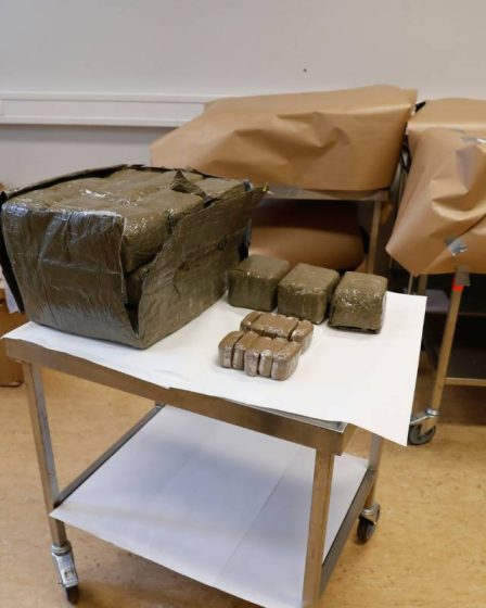 Deux hommes pris avec 20 kilos de cannabis à Larvik - 13