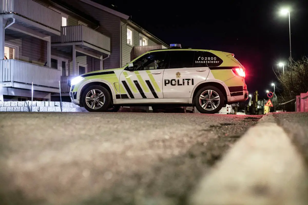 Moins de vols et d'infractions liées à la drogue enregistrés en Norvège l'année dernière - 3