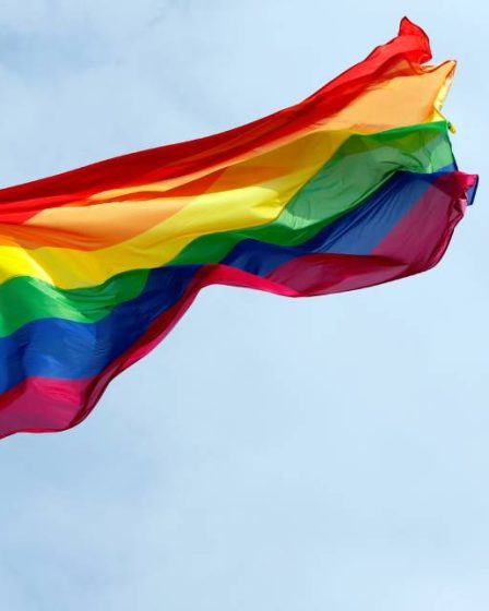 Le Parlement norvégien va hisser le drapeau arc-en-ciel 5 Le Parlement norvégien va hisser le drapeau arc-en-ciel - 4