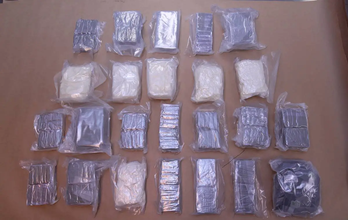 Plus d'une tonne de haschisch et 24 kilos de cocaïne : Trois hommes au Danemark accusés de contrebande de drogue vers la Norvège - 3