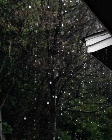De fortes pluies attendues dans l'est et le nord de la Norvège - 7
