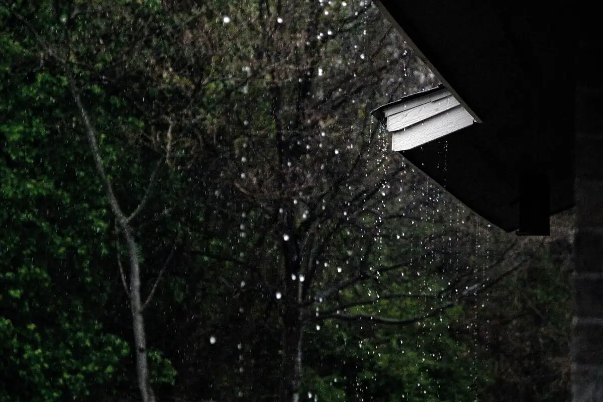 De fortes pluies attendues dans l'est et le nord de la Norvège - 3
