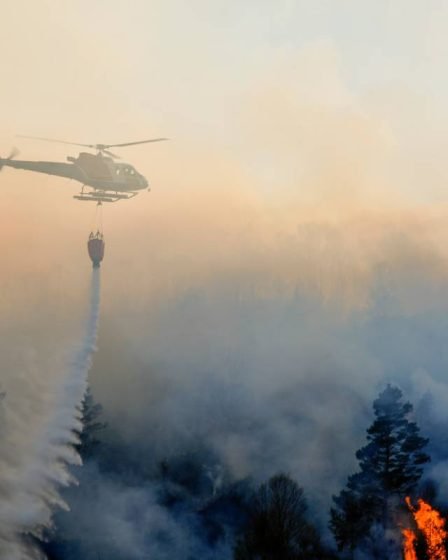 Le danger d'incendie de forêt dans le sud de la Norvège reste élevé : des hélicoptères supplémentaires doivent être en attente - 17