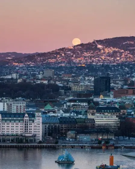 Une femme grièvement blessée après un violent incident à Oslo - 13