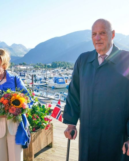 Le roi Harald de Norvège : je n'ai pas de solution aux problèmes qui conduisent à des prix élevés 19 Le roi Harald de Norvège : je n'ai pas de solution aux problèmes qui conduisent à des prix élevés - 18
