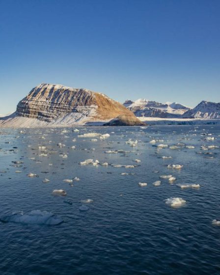 Déclin substantiel de la banquise autour du Svalbard 5 Déclin substantiel de la banquise autour du Svalbard - 4