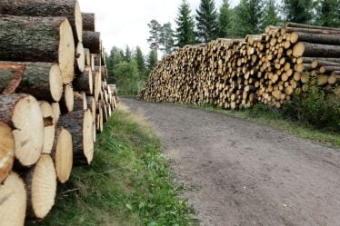Prix ​​record du bois enregistré en Norvège - 18