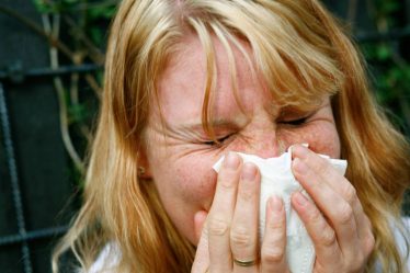 Le FHI norvégien demande aux municipalités de se préparer à une forte saison grippale - 16