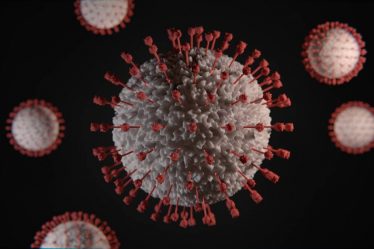 Une nouvelle variante de coronavirus détectée au Danemark - 20