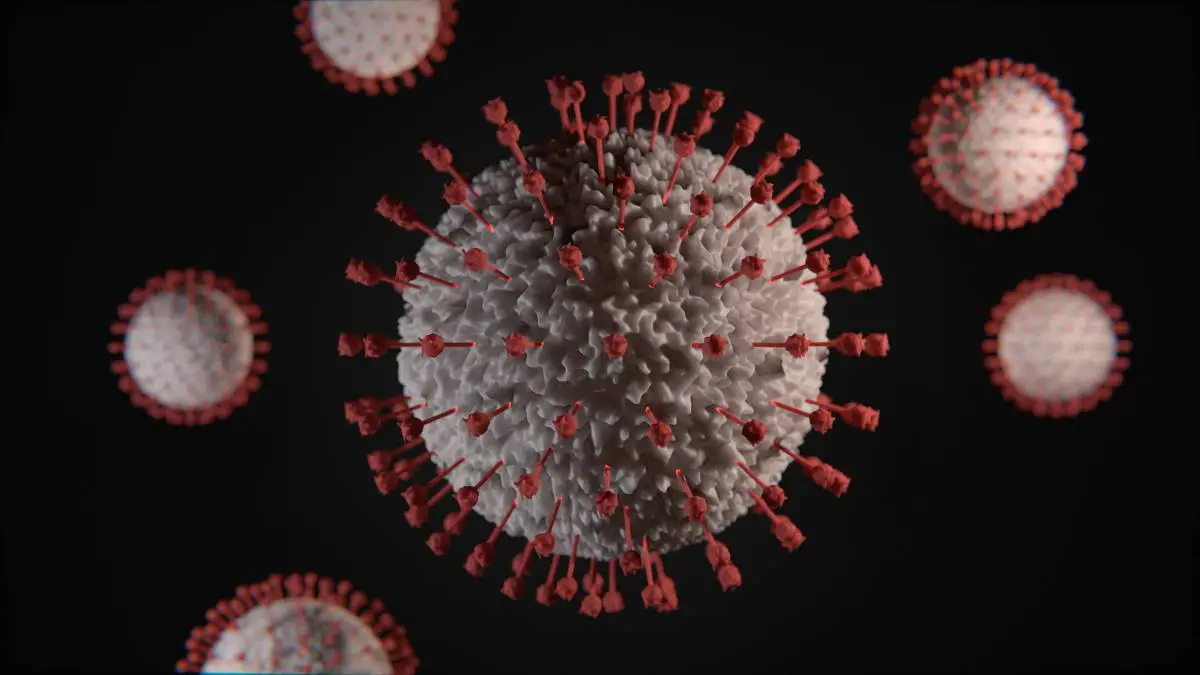 Une nouvelle variante de coronavirus détectée au Danemark - 3