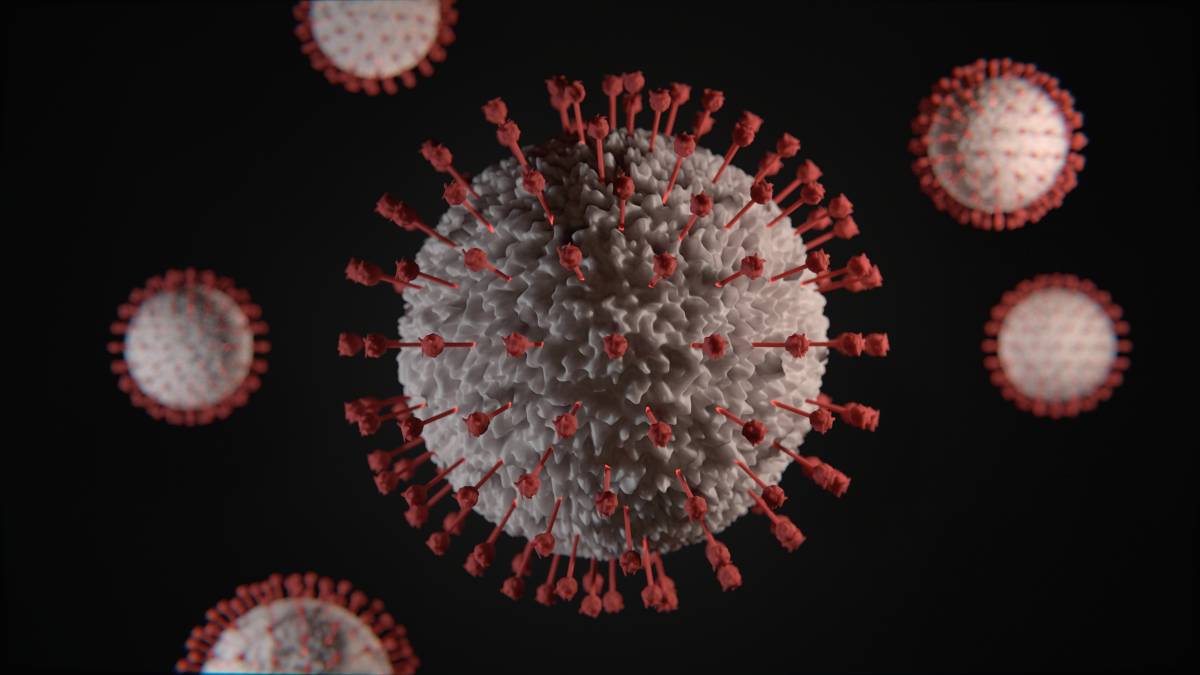 Une nouvelle variante de coronavirus détectée au Danemark 4 Une nouvelle variante de coronavirus détectée au Danemark - 3