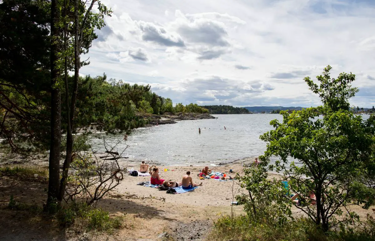 Encore un long chemin à parcourir avant que les objectifs environnementaux pour le fjord d'Oslo ne soient atteints 4 Encore un long chemin à parcourir avant que les objectifs environnementaux pour le fjord d'Oslo ne soient atteints - 3