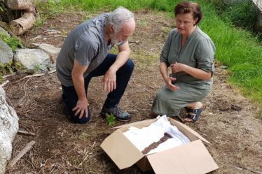 Un couple trouve une épée viking dans un champ à Øverås à Vestnes, dans le comté de Møre et Romsdal - 18