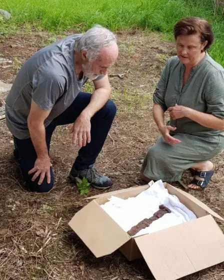 Un couple trouve une épée viking dans un champ à Øverås à Vestnes, dans le comté de Møre et Romsdal - 1