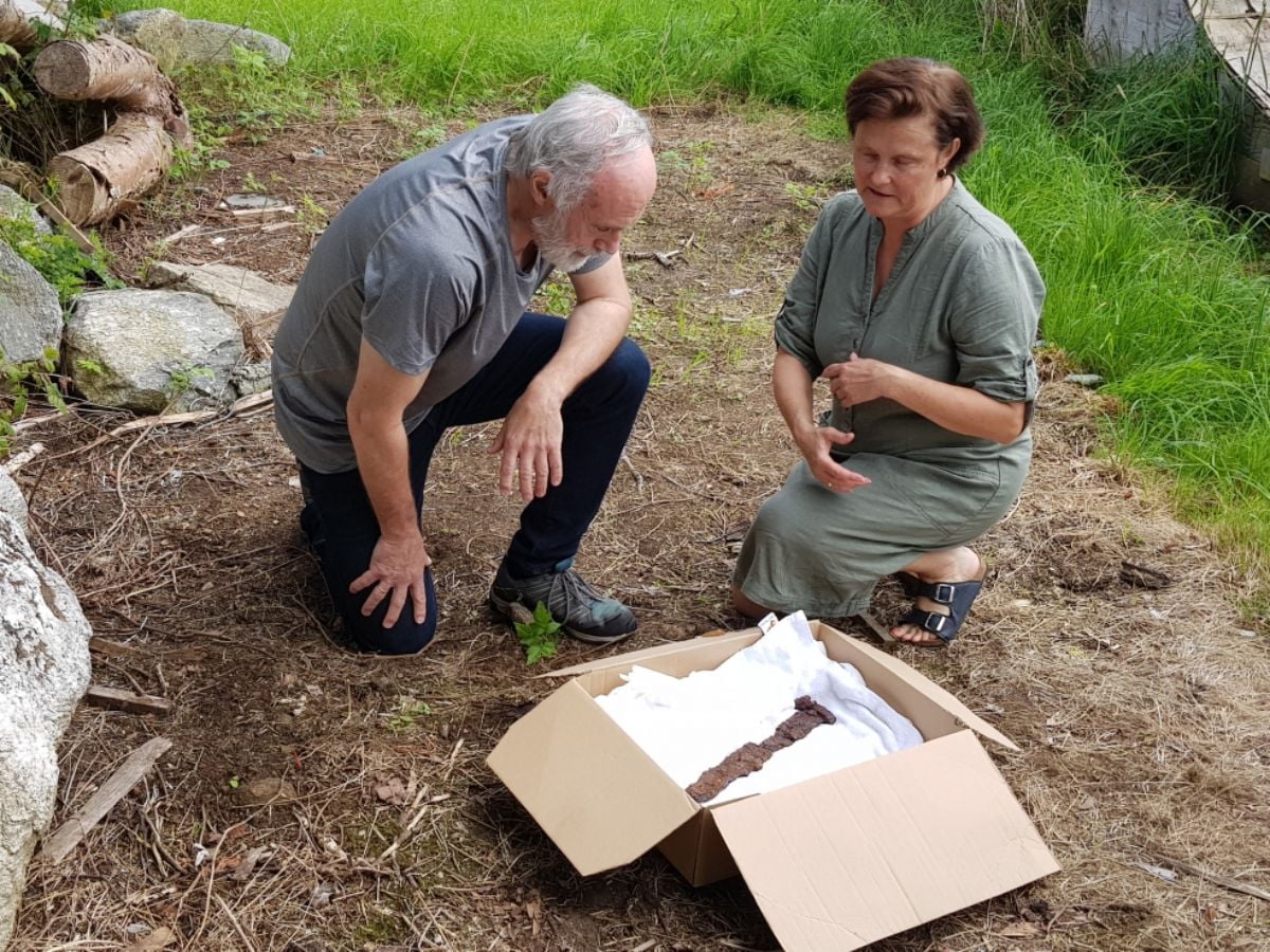 Un couple trouve une épée viking dans un champ à Øverås à Vestnes, dans le comté de Møre et Romsdal - 3